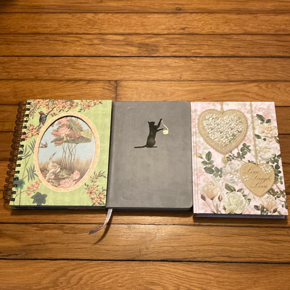 3 New Lined Journal Notebooks